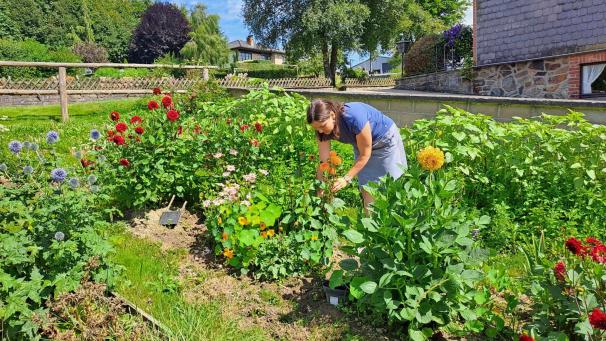 <p>Sylvia George arbeitet hauptberuflich als Ergotherapeutin. Der Garten ist ihr Hobby.</p>