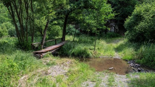 <p>Der Tourismussektor blickt auf ein hervorragendes Jahr 2023 zurück.Gäste wissen vor allem die Natur zu schätzen.</p>