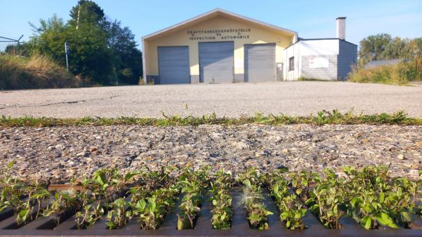 <p>Auf dem ehemaligen Gelände der Autosécurité an der Vervierser Straße soll in Zukunft das neue zentrale Polizeigebäude in Eupen entstehen.</p>