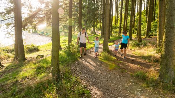 <p>Wandern am Bütgenbacher See ist eine sehr beliebte Freizeitaktivität.</p>