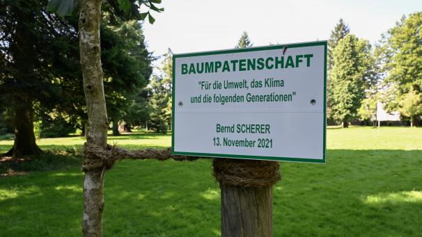 <p>Besonders die öffentlichen Eupener Parkanlagen sind als Standorte für Baumpatenschaften gefragt.</p>