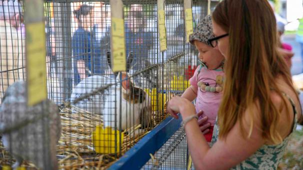 <p>Tiere hautnah erleben: Das ist beim Waldfest an der Talsperre für Groß und Klein möglich.</p>