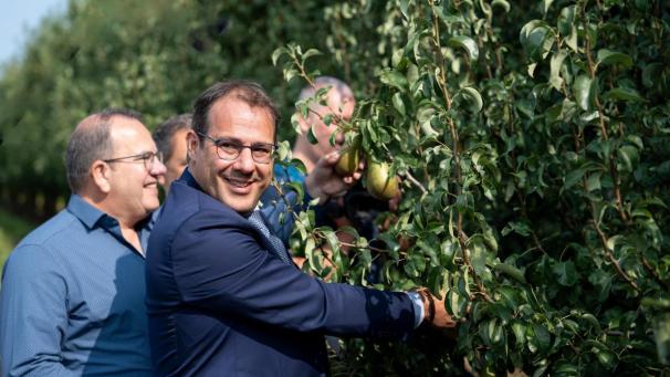 <p>Am Montag ist in Belgien offiziell die diesjährige Birnenernte gestartet. David Clarinval nahm in einem Anbaubetrieb in Halen daran teil.</p>