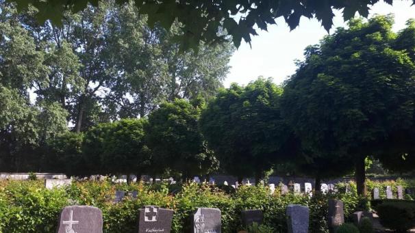 <p>Ein Blick auf den Ketteniser Friedhof</p>