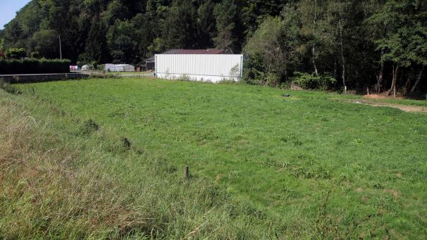 <p>Der neue Hundepark soll in zwei voneinander abgetrennte Bereiche unterteilt werden.</p>