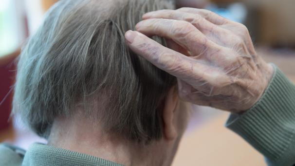 <p>Alzheimer ist die häufigste Form der Demenz in unserem Land</p>