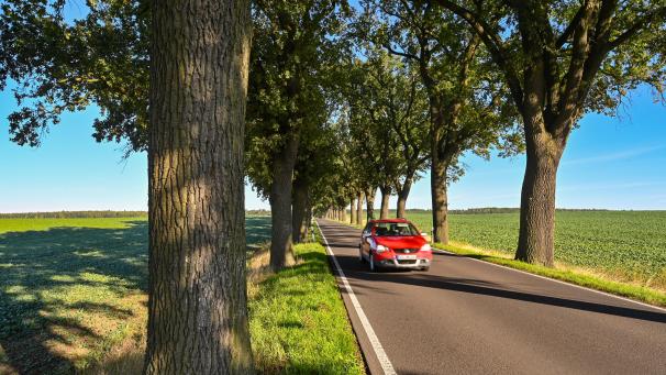 <p>Es erscheint logisch, dass ein Auto in einer ländlichen Region öfter gebraucht wird.</p>