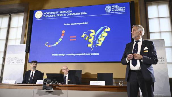 <p>Johan Åqvist (r), Mitglied des Nobelkomitees für Chemie, erläutert die Arbeit von David Baker, Demis Hassabis und John M. Jumper, den diesjährigen Nobelpreisträgern für Chemie, in der Königlich-Schwedischen Akademie der Wissenschaften.</p>