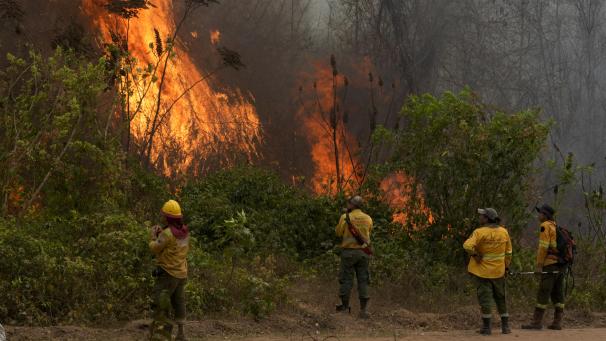 <p>Freiwillige Feuerwehrleute löschen ein Feuer im Wald von Chiquitania in der Nähe von Concepcion in Bolivien.</p>