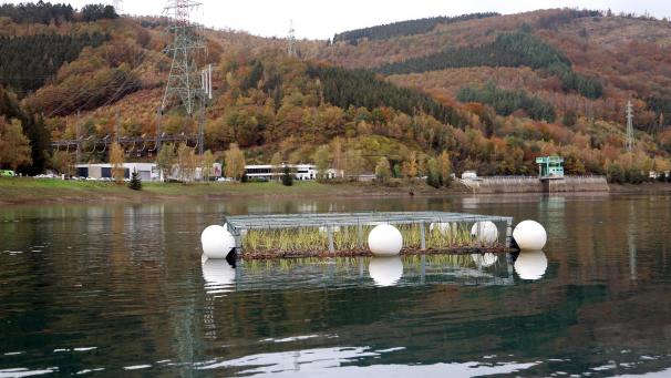 <p>Jede Insel ist 16 Quadratmeter groß. Sie sind mit Wasserpflanzen ausgestattet.</p>