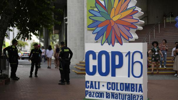<p>Polizisten stehen vor einem Hotel neben dem Logo der 16. UN-Konferenz zur biologischen Vielfalt (COP16) zum Thema biologische Vielfalt.</p>