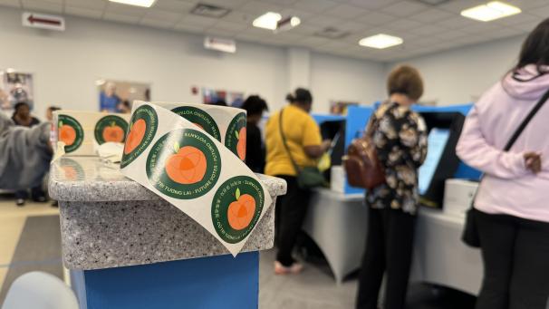 <p>Wähler geben vorzeitig ihre Stimme ab für die US-Präsidentschaftswahl in einem Wahllokal im Gwinnett County im US-Bundesstaat Georgia.</p>