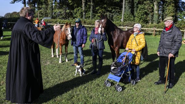 <p>Pfarrer Hendrik Meisel segnet im Anschluss an den ökumenischen Feldgottesdienst auf einer Wiese die Tiere und Menschen.</p>