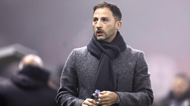 <p>Wie geht es weiter für Domenico Tedesco?</p>