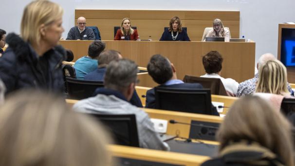 <p>Rafael Daem, Anne Sophie Cardinal, Aline Colpaert und Marleen Achtergaele (v.l.n.r.) während der Sitzung</p>