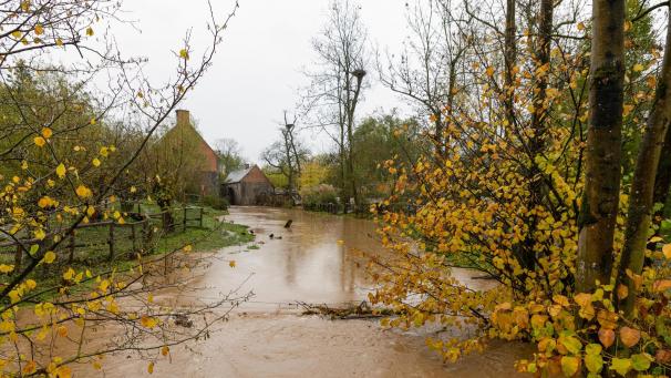 <p>Der Tierpark Pairi Daiza kämpft gegen Überflutungen nach Starkregen.</p>