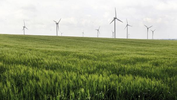 <p>Die ESG-Kriterien fordern von Unternehmen Bemühungen in Nachhaltigkeit ein.</p>