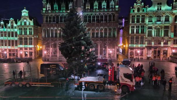 <p>Der Weihnachtsbaum für die Grand-Place wurde in aller Früh aufgestellt.</p>