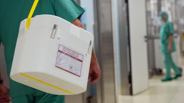 <p>Ein Styropor-Behälter zum Transport von zur Transplantation vorgesehenen Organen wird am eines OP-Saales vorbei getragen.</p>
