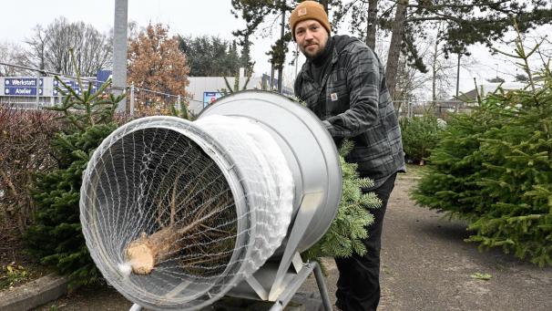 <p>Nach dem Kauf wird der Baum eingenetzt und kann nach Hause transportiert werden.</p>
