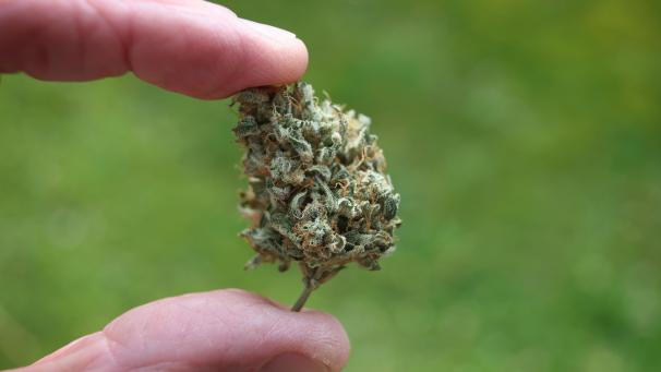 <p>Der Konsum von und das Dealen mit Cannabis beschäftigte das Eupener Strafgericht.</p>