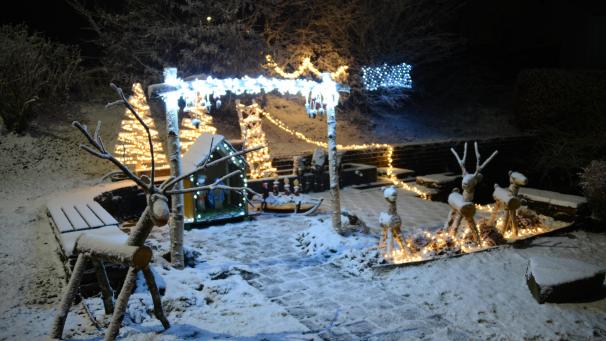 <p>Am Samstag hat es kurzzeitig geschneit, sodass sich für die Spaziergänger tolle Fotos ergaben.</p>