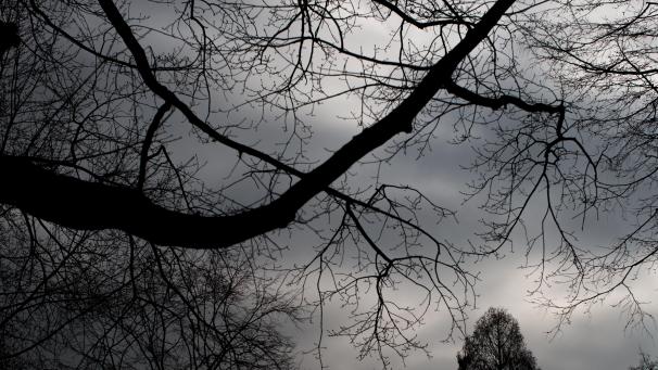 <p>Wintergrau drückt hierzulande aufs Gemüt.</p>