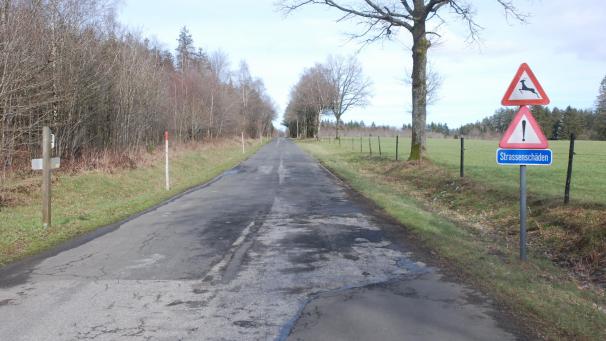 <p>Die Straße zwischen Halenfeld und Honsfeld soll 2025 saniert werden.</p>