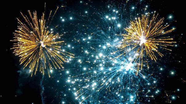 <p>Für viele gehört das Feuerwerk traditionell zum Jahreswechsel. Doch nicht alle Menschen – und Tiere – sind Fans von Böllern und Raketen.</p>