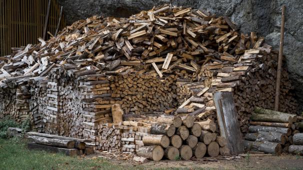 <p>Das Wirtschaftsministerium warnt vor Betrug mit Brennholz.</p>