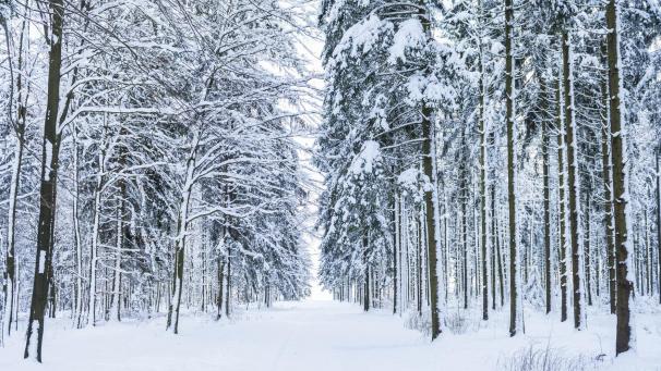 <p>Ostbelgische Winterlandschaft</p>