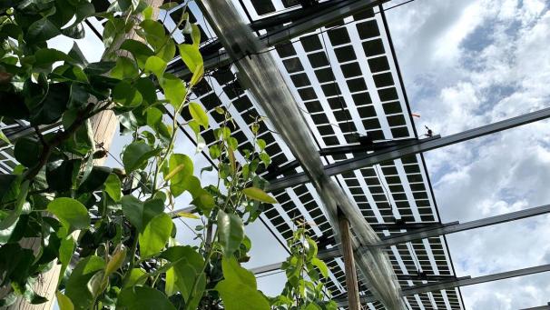 <p>Die neue Solaranlage in Sint-Truidensoll dauerhaft in Betrieb genommen werden.</p>