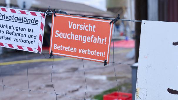 <p>„Vorsicht Seuchengefahr!“ steht auf einem Schild an einem Betrieb in Mehrow (Brandenburg)</p>