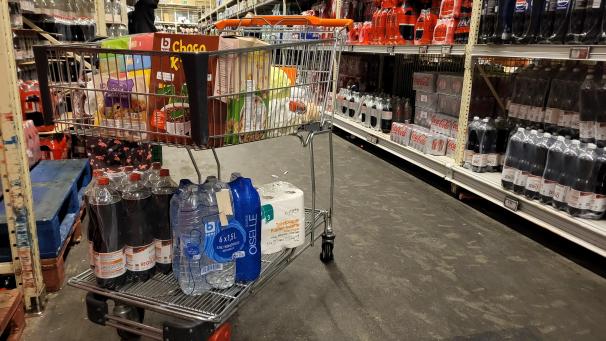 <p>Stets mehr Eigenmarken im Einkaufswagen der Belgier. Der Preisunterschied zu den A-Marken ist groß. Colruyt: „Wir verstehen es auch nicht mehr wirklich“</p>