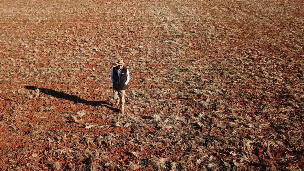 <p>In New South Wales, Australien, herrscht derzeit eine extreme Dürre.</p>