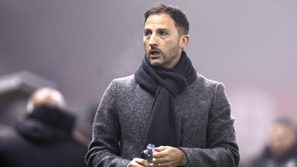 <p>Domenico Tedesco ist nicht länger Nationaltrainer.</p>