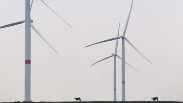 <p>Zwischen Hepscheid und Honsfeld sind sechs Windräder geplant. Ob und wann es zum Bau kommt, ist weiter unklar.</p>