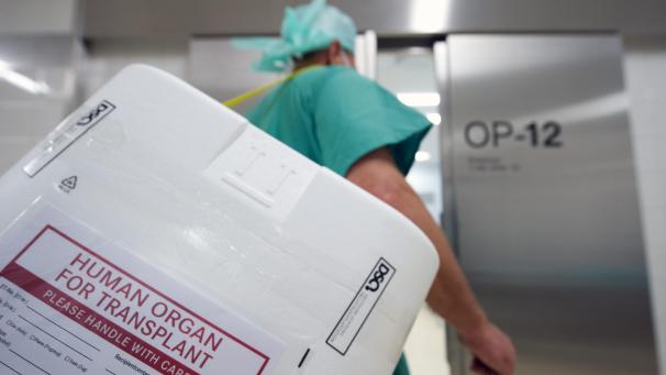 <p>Im europäischen Vergleich gehört Belgien zu den Spitzenreitern in der Organtransplantation.</p>