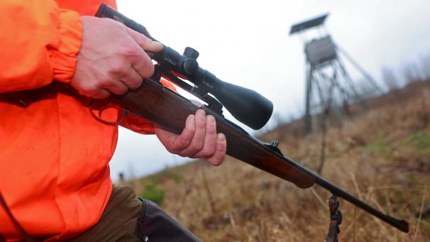 <p>Auch die Jagd war Thema im Ameler Gemeinderat.</p>