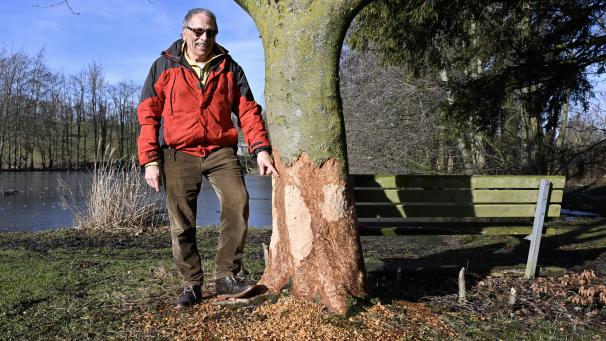 <p>Leo Stickelmann ist ein Naturliebhaber und macht sich Sorgen um die Bäume am Walhorner Weiher.</p>