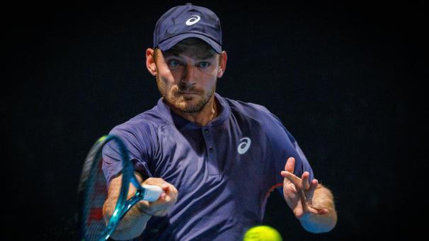 <p>David Goffin</p>