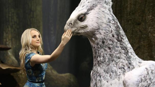 <p>Die irische Schauspielerin Evanna Lynch steht neben einer Nachbildung der Harry-Potter-Figur „Seidenschnabel“ bei der Warner Bros Studio Tour.</p>