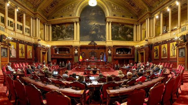 <p>Ineffizient und kostspielig: Der Senat soll bis zu den Wahlen 2029 abgeschafft werden.</p>