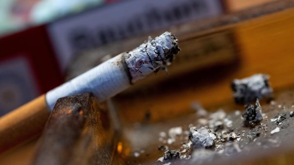 <p>Frankreich verbietet das Rauchen in Parks und an Stränden.</p>