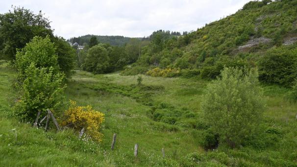 <p>Das Langebachtal zwischen Schönberg und Amelscheid</p>