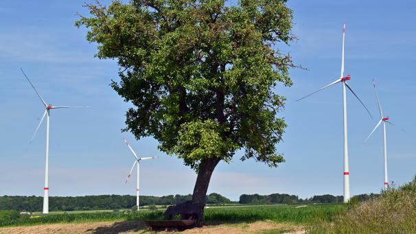 <p>Am Mittwoch, 25. Juni, und Donnerstag, 26. Juni, findet der erste gemeinsame Fachworkshop des internationalen Projekts in Eupen statt.</p>