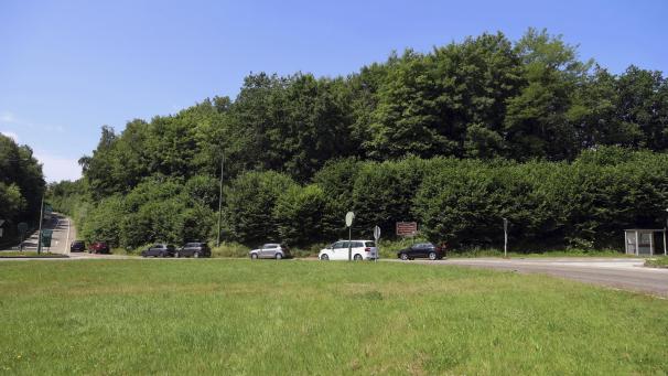 <p>Hinter diesen Bäumen wird der „Mobipole“-Parkplatz im Bereich der Autobahnanschlussstelle Malmedy eingerichtet. Das Bushäuschen (rechts) wird verlegt und dort kommt die Ausfahrt hin.</p>