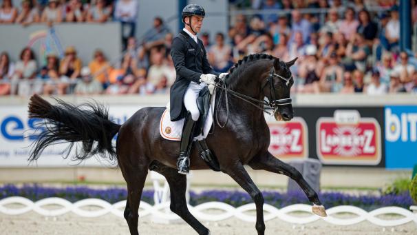 <p>Der belgische Dressurreiter Justin Verboomen auf dem Pferd Zonik Plus reitet im Parcours.</p>