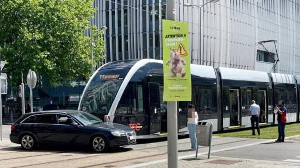 <p>Insgesamt kam es bereits zu sechs Unfällen – drei mit Fußgängern, drei mit Fahrzeugen.</p>