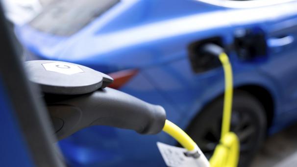 <p>E-Autos sind vor allem in Belgiens Privatwirtschaft beliebt.</p>